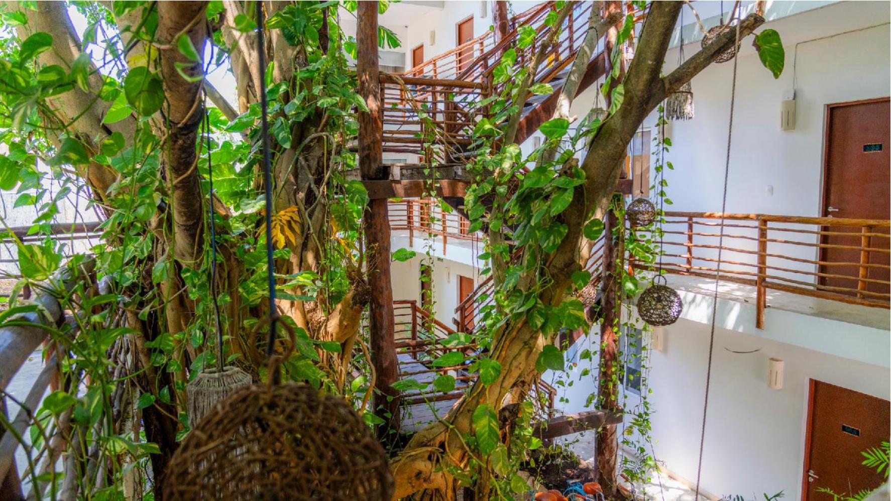 Kante Hotel - Downtown ตูลุม ภายนอก รูปภาพ